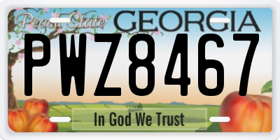 GA license plate PWZ8467