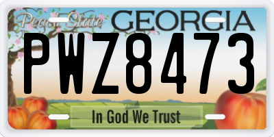 GA license plate PWZ8473