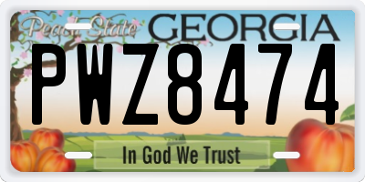 GA license plate PWZ8474