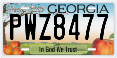GA license plate PWZ8477