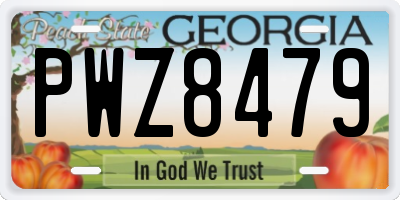 GA license plate PWZ8479