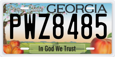 GA license plate PWZ8485