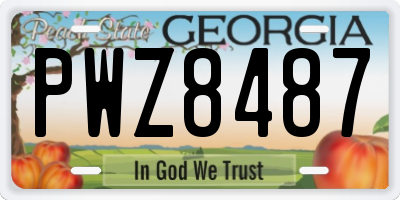 GA license plate PWZ8487