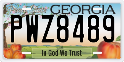 GA license plate PWZ8489