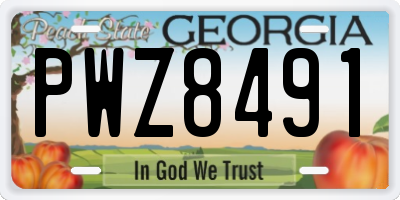 GA license plate PWZ8491