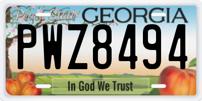 GA license plate PWZ8494