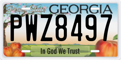 GA license plate PWZ8497