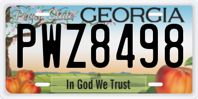 GA license plate PWZ8498