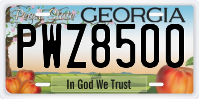 GA license plate PWZ8500