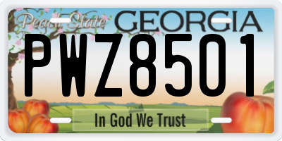 GA license plate PWZ8501