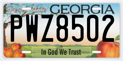 GA license plate PWZ8502