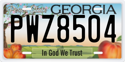 GA license plate PWZ8504