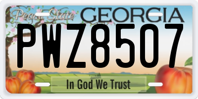 GA license plate PWZ8507