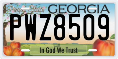 GA license plate PWZ8509