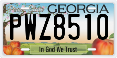 GA license plate PWZ8510