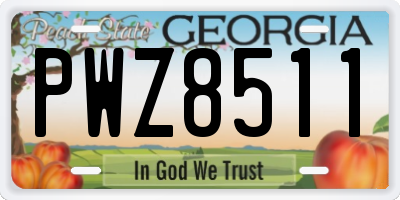 GA license plate PWZ8511