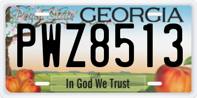 GA license plate PWZ8513