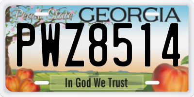 GA license plate PWZ8514