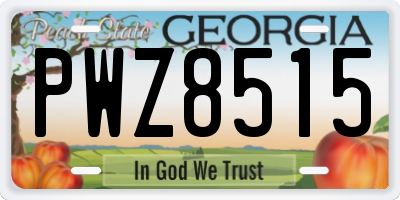 GA license plate PWZ8515