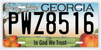 GA license plate PWZ8516