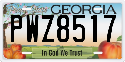 GA license plate PWZ8517