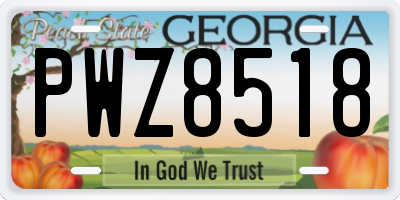 GA license plate PWZ8518