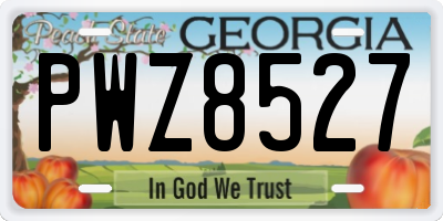 GA license plate PWZ8527