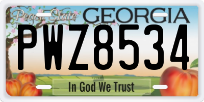 GA license plate PWZ8534