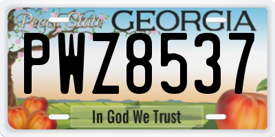 GA license plate PWZ8537