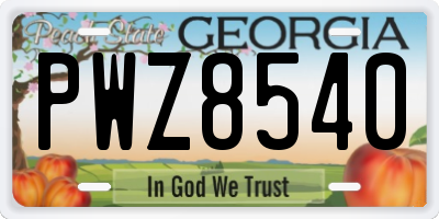 GA license plate PWZ8540