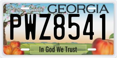 GA license plate PWZ8541