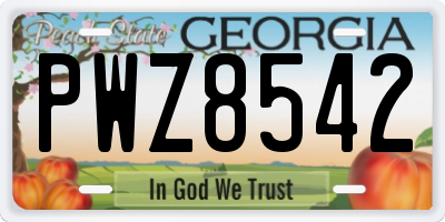 GA license plate PWZ8542
