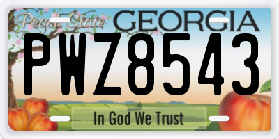 GA license plate PWZ8543