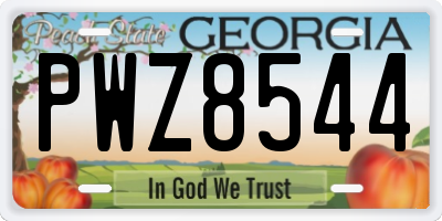 GA license plate PWZ8544