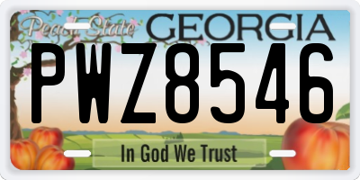 GA license plate PWZ8546