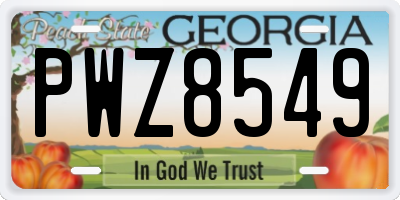 GA license plate PWZ8549