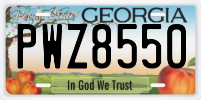 GA license plate PWZ8550