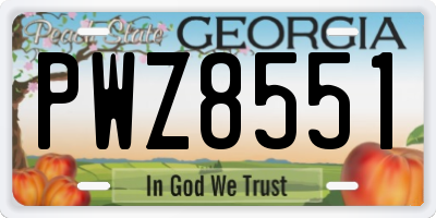 GA license plate PWZ8551