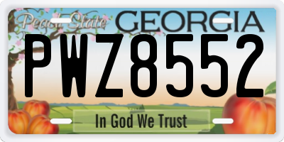 GA license plate PWZ8552