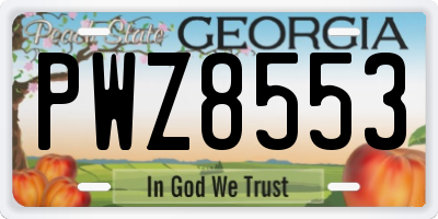 GA license plate PWZ8553