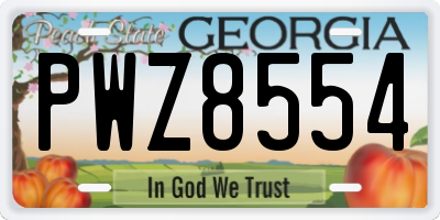 GA license plate PWZ8554