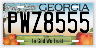 GA license plate PWZ8555