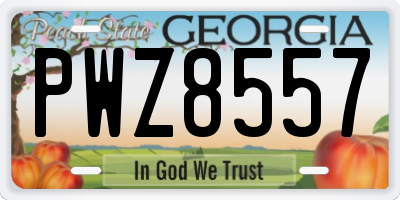GA license plate PWZ8557