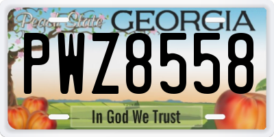 GA license plate PWZ8558