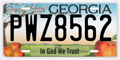 GA license plate PWZ8562