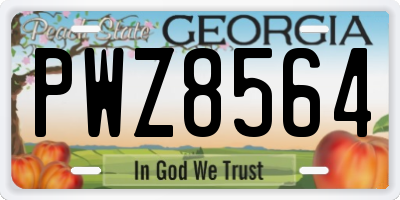 GA license plate PWZ8564