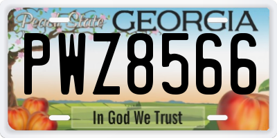 GA license plate PWZ8566