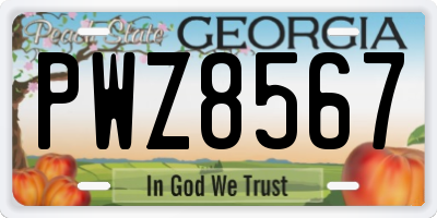 GA license plate PWZ8567