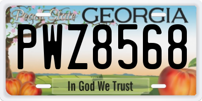 GA license plate PWZ8568