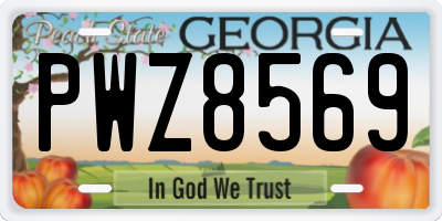 GA license plate PWZ8569
